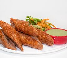 Кебаб из баранины с салатом и мятным соусом
