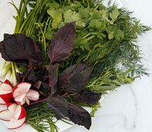 Зелень по-кавказски