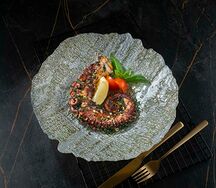 Щупальца марокканского осьминога