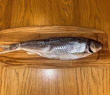 Кутум маленький 1 шт