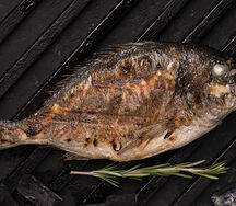 Целая дорадо