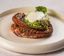 Осьминог с ризотто из кабачков и томатами