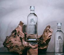 Даусуз без газа