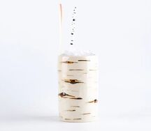 Лимонад березовый