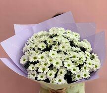 Букет из 21 ромашковой хризантемы