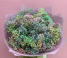 Букет из гипсофилы