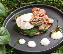 Драник с беконом и яйцом пашот 