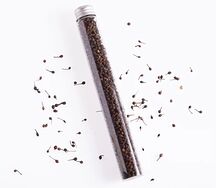 Бурбонский перец