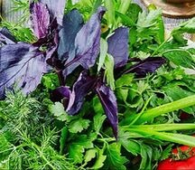 Зелёный букет