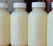 Армянский кисломолочный напиток Тан 