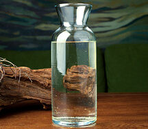 Береза, одуванчик и ромашка