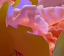 Креветочные чипсы