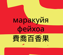 Лимонад маракуйя-фейхоа 0,3