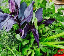 Букет зелени