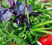 Зелёная тарелка 