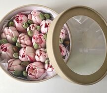 Зефирные розовые тюльпаны