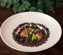 Картошка в земле