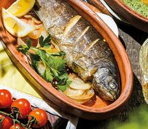 Форель речная