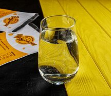 Вода Алтай Аква газированная