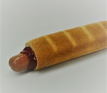 vp1