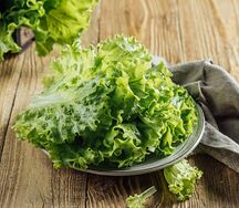 Листья салата