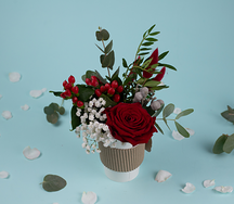 Букет цветов Красная роза с ягодами в стаканчике