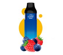 Hyppe terra blueberry raspberry
