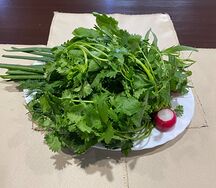 Зеленая грядка