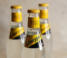 Schweppes Indian Tonic