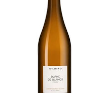 Игристое безалкогольное вино Oddbird Blanc de Blancs 