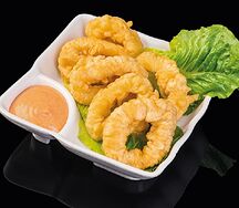 Кольца кальмара