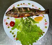 Форель радужная на мангале