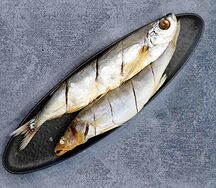 Ладожский судак