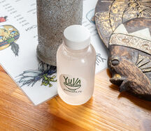 Домашний лимонад с имбирём