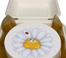 Бенто-торт Влюбленная ромашка 2