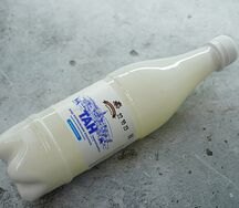 Тан Монастырская буренка