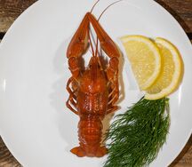 Отборные вареные раки по классическому рецепту