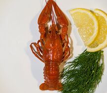 Мелкие раки