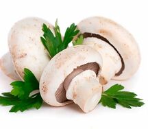 Шампиньоны консервированные