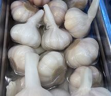 Соленый чеснок