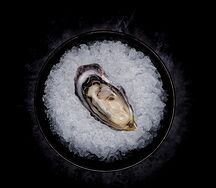 Устрица Розовая Джоли