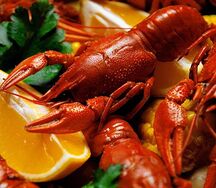 Крупные раки 4 категории