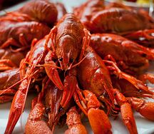 Раки Гусарские 3 категории