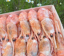 Креветки Ботан