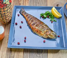 Форель на углях