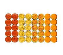 Сет Запеченный