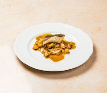 Синекорый палтус