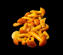 Грибы опята