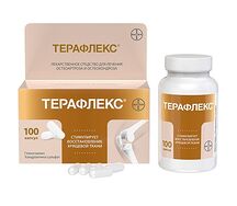 Терафлекс капсулы №100