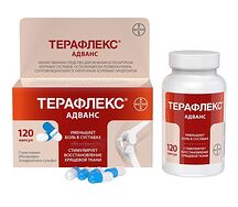 Терафлекс Адванс капсулы №120